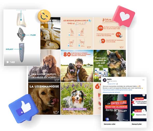 Community Manager spécialiste en création de contenus